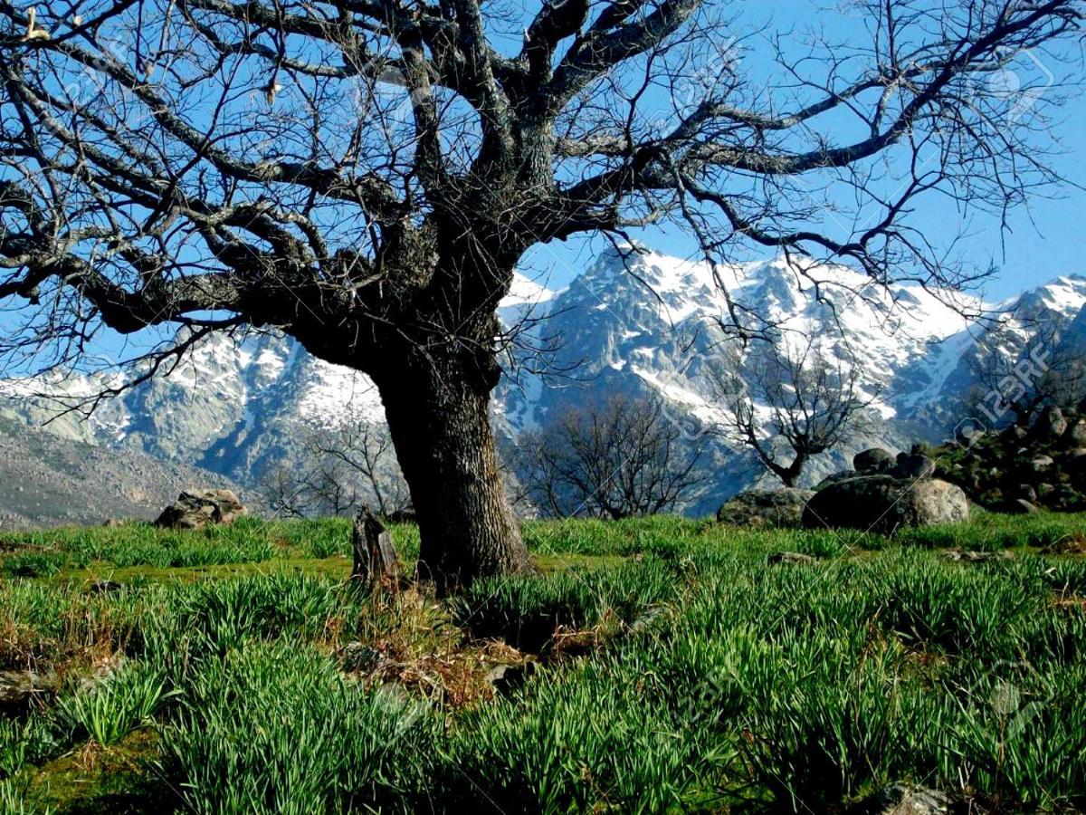 Séjour à la campagne Alto Santiago Santiago del Collado