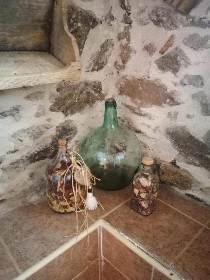 Séjour à la campagne Alto Santiago *